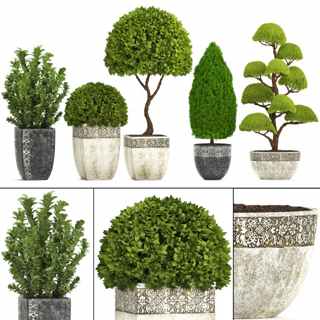 collection of plants for the garden 3D Модель .c4d .max .obj .3ds .fbx .stl .blend 