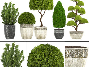 verzameling planten voor de tuin 3D Model