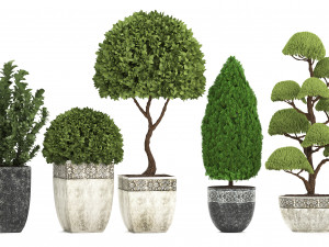 collection of plants for the garden 3D Модель