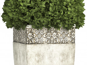 collection of plants for the garden 3D Модель