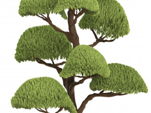 collection of plants for the garden 3D Модель