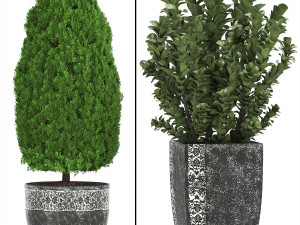 collection of plants for the garden 3D Модель