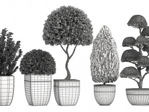 collection of plants for the garden 3D Модель