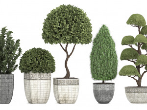 collection of plants for the garden 3D Модель