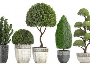 collection of plants for the garden 3D Модель