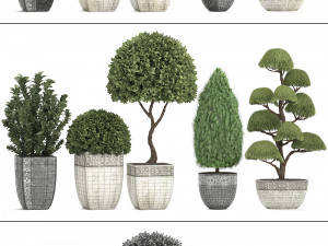 collection of plants for the garden 3D Модель