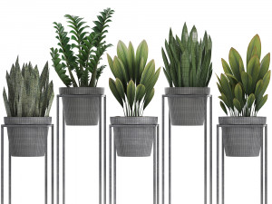 collection exotic plants 3D 模型