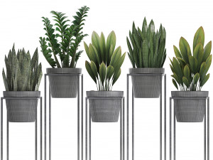 collection exotic plants 3D 模型