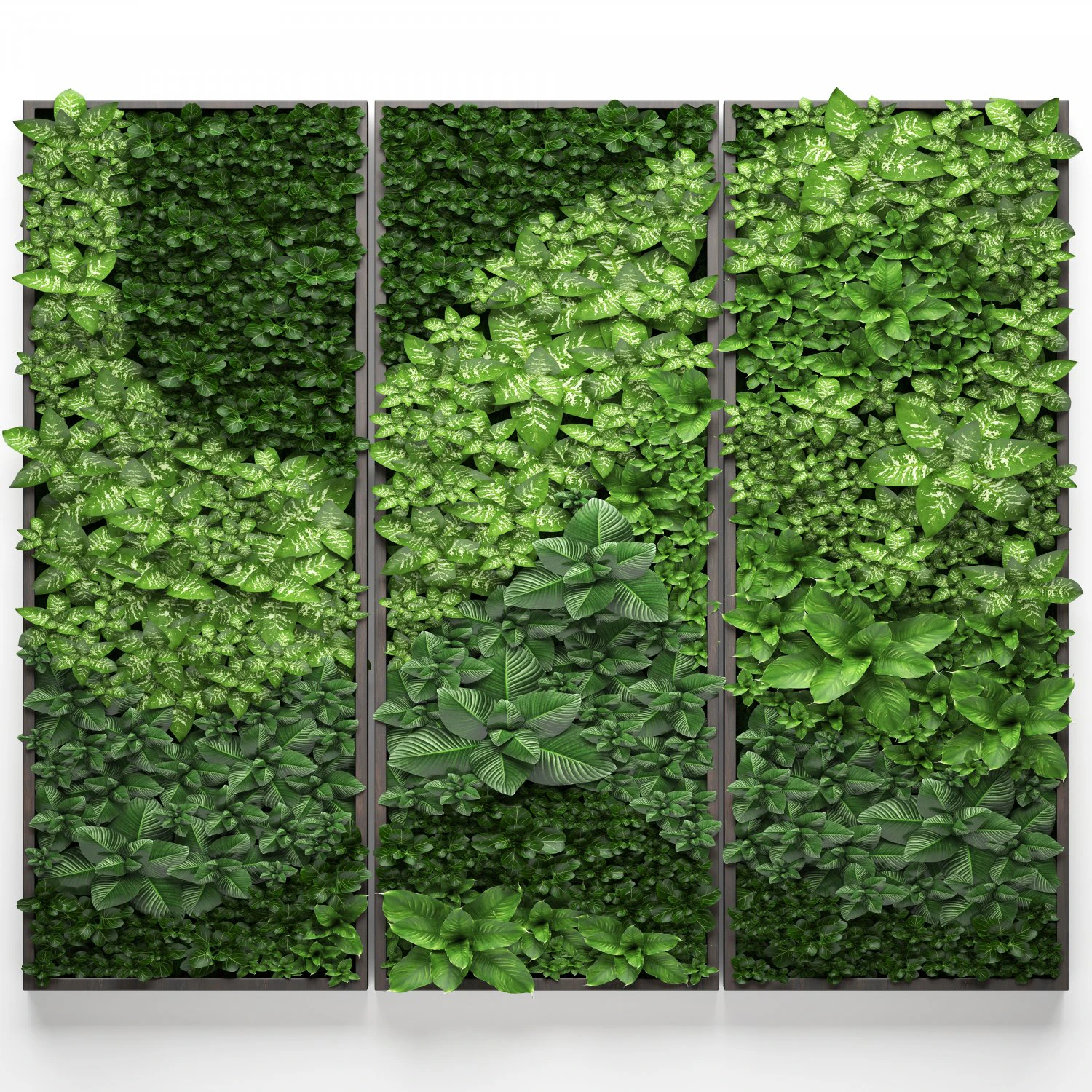 vertical gardening 3D Model .c4d .max .obj .3ds .fbx .stl .blend 