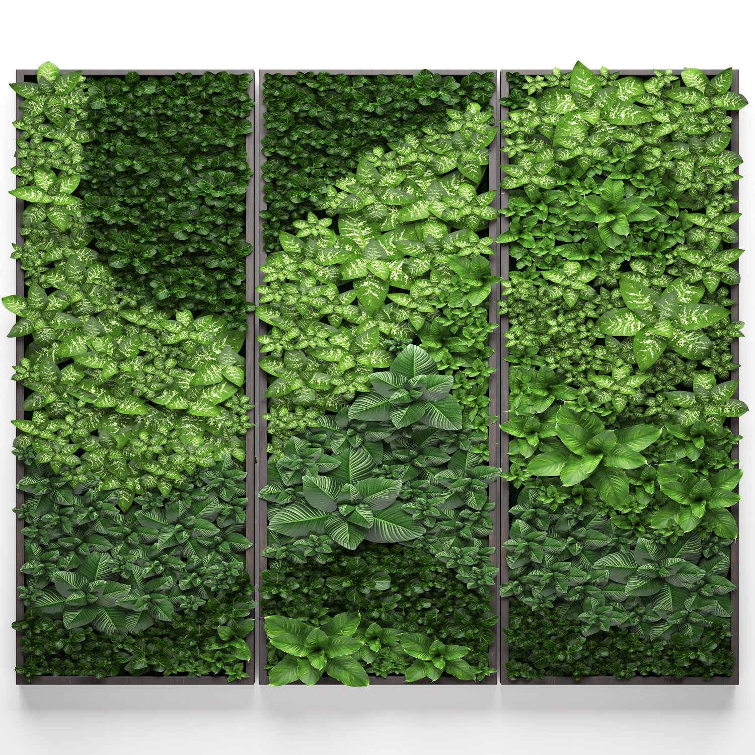 Vertical Gardening 3d Model In Grass And Ground Cover 3dexport