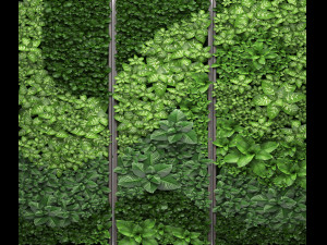 vertical gardening Model 3D