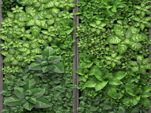 vertical gardening Model 3D