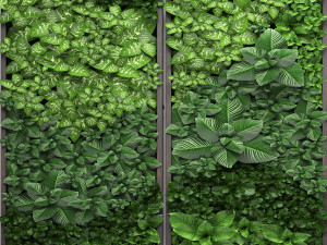 vertical gardening Model 3D