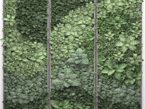 vertical gardening Model 3D