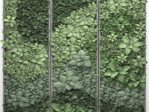vertical gardening Model 3D