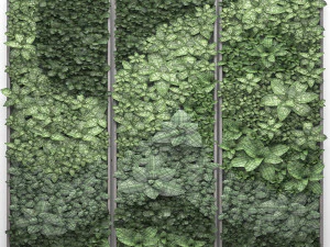 vertical gardening 3D Model
