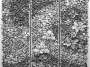 vertical gardening Model 3D