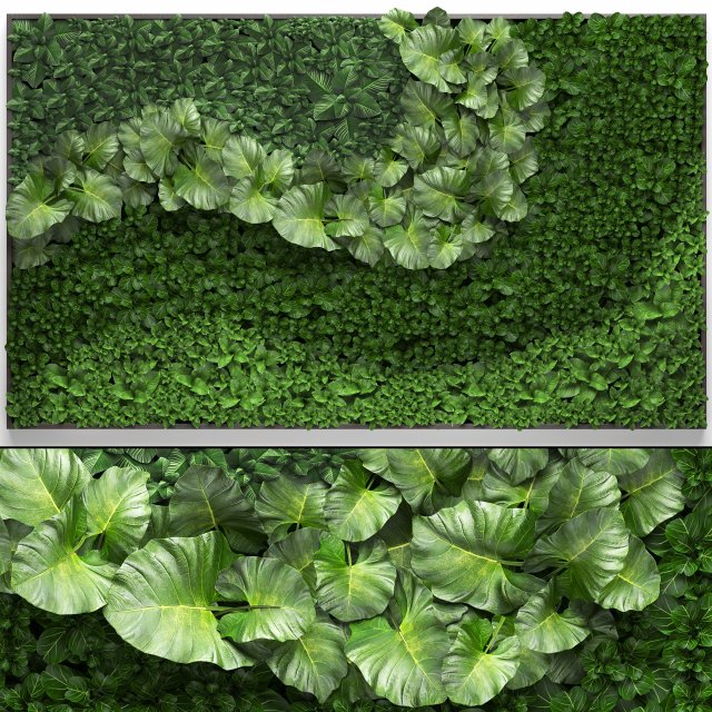vertical gardening 3D Model .c4d .max .obj .3ds .fbx .stl .blend 