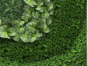 vertical gardening 3D Model