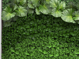 vertical gardening 3D Model