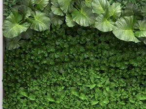 vertical gardening 3D Model