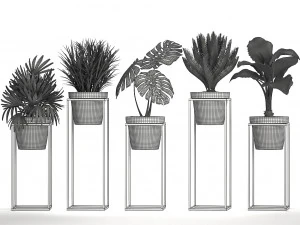 collection exotic plants 3D Model