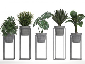 collection exotic plants 3Dモデル