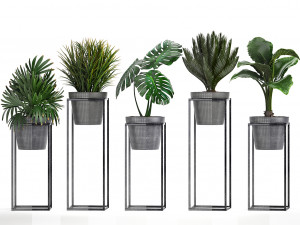 collection exotic plants 3Dモデル