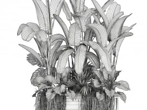 collection exotic plants 3D Model