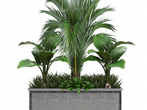collection exotic plants 3D Model