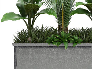collection exotic plants 3D Model
