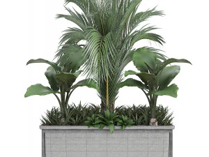 collection exotic plants 3D Model