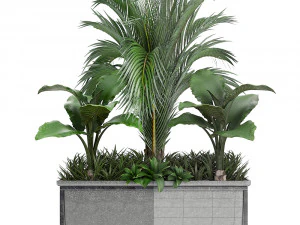 collection exotic plants 3D Model