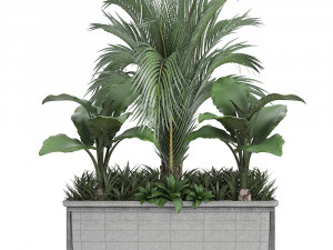 collection exotic plants 3Dモデル