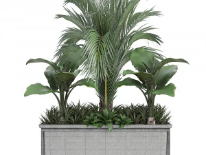collection exotic plants 3D Model