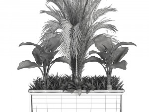 collection exotic plants 3Dモデル