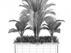 collection exotic plants 3D Model