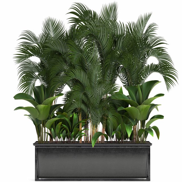 collection exotic plants 3D 模型 .c4d .max .obj .3ds .fbx .stl .blend 