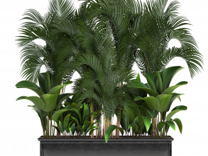 collection exotic plants 3D Model