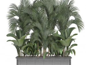 collection exotic plants 3D Model