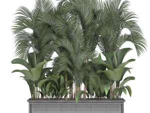 collection exotic plants 3D 模型