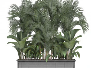 collection exotic plants 3D Model