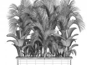 collection exotic plants 3D 模型
