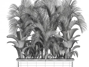 collection exotic plants 3D Model