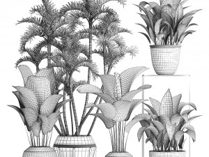 collection exotic plants 3D Model