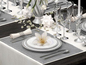 table setting Modelo 3D