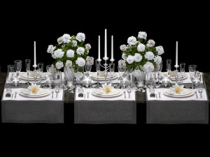 table setting 3D-Modell