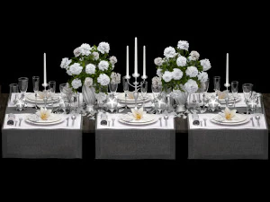 configuraci&oacute;n de la mesa Modelo 3D