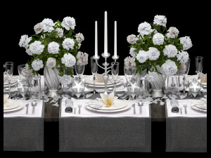 table setting 3D-Modell
