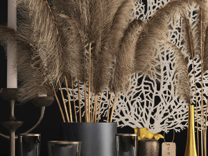 decor with dry flowers phragmites 3D 模型